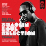 V.A. / RZA PRESENTS: SHAOLIN SOUL SELECTION VOL.1 / 3LP | Record