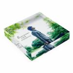秦基博 / 言ノ葉 / LP | Record CD Online Shop JET SET / レコード