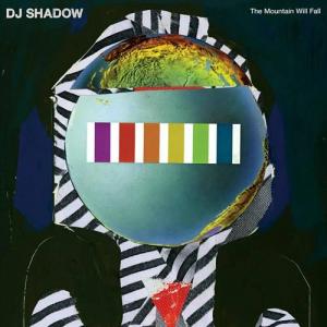 DJ SHADOW / THE MOUNTAIN WILL FALL / 2LP | Record CD Online Shop