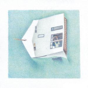 DANNY SCOTT LANE / HOUSE OF ALICE / LP | Record CD Online Shop JET