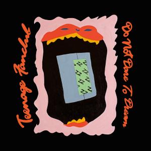 TEENAGE FANCLUB / DO NOT DARE TO DREAM / LP | Record CD Online