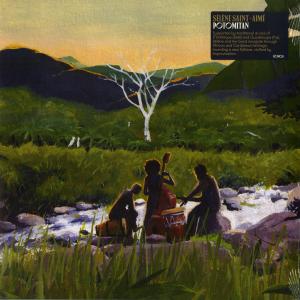 SELENE SAINT-AIME / POTOMITAN / LP | Record CD Online Shop JET SET ...