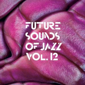 V.A. THE FUTURE SOUND OF JAZZ★LP3枚セット V.A. / FUTURE SOUNDS OF JAZZ VOL.12 / 3LP | Record CD Online Shop