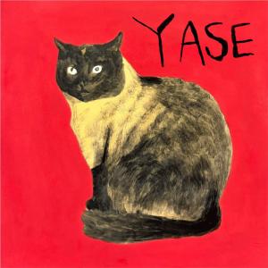 HIMI / YASE / LP | Record CD Online Shop JET SET / レコード・CD