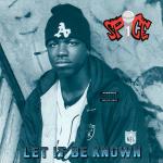 QUEEN LATIFAH / FLY GIRL REMIXES / 12