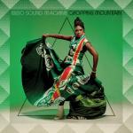V.A. / MUSIC FROM SAHARAN CELLPHONES VOL.2 / LP | Record CD Online