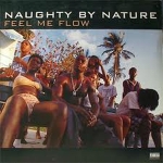 NAUGHTY BY NATURE / FEEL ME FLOW / 12