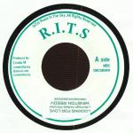 HORACE ANDY / THE KING TUBBY TAPES / 2LP | Record CD Online Shop