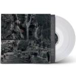 G.S. SCHRAY / FIRST APPEARANCE / LP | Record CD Online Shop JET