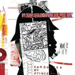 PRINCE PAUL / PSYCHOANALYSIS: WHAT IS IT? / 2LP | Record CD Online