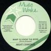 EVERTON CHAMBERS / BABYLON YOU WRONG / 7
