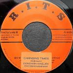 HORACE ANDY / THE KING TUBBY TAPES / 2LP | Record CD Online Shop