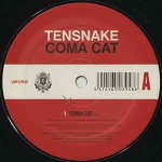 [試聴盤落ち]TENSNAKE / COMA CAT REMIXES / 12