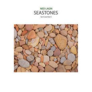 NED LAGIN / SEASTONES: SET 4 AND SET 5 / LP | Record CD Online 