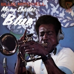BLUE MITCHELL / MANY SHADES OF BLUE / LP | Record CD Online Shop