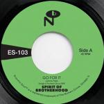 SYL JOHNSON / TRIPPING ON YOUR LOVE / FOXY BROWN / 7